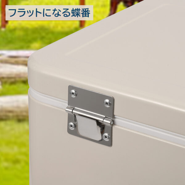 Litake  クーラーボックス 小型 保冷力 30L 保冷ボック 取っ手付き 保冷 保温ボックス アウトドア キャンプ用品 レジャー - 画像 (6)