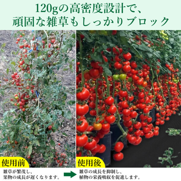 Litake  防草シート 幅0.5m 1m 2m 長さ10m 50m 不織布 雑草防止シート 除草シート 草除け 高遮光率 雑草対策 農業資材 - 画像 (5)
