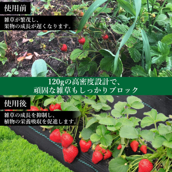 Litake  防草シート 幅0.5m 1m 2m 長さ10m 50m 織布 雑草防止シート 除草シート 草除け 高遮光率 雑草対策 農業資材 - 画像 (5)